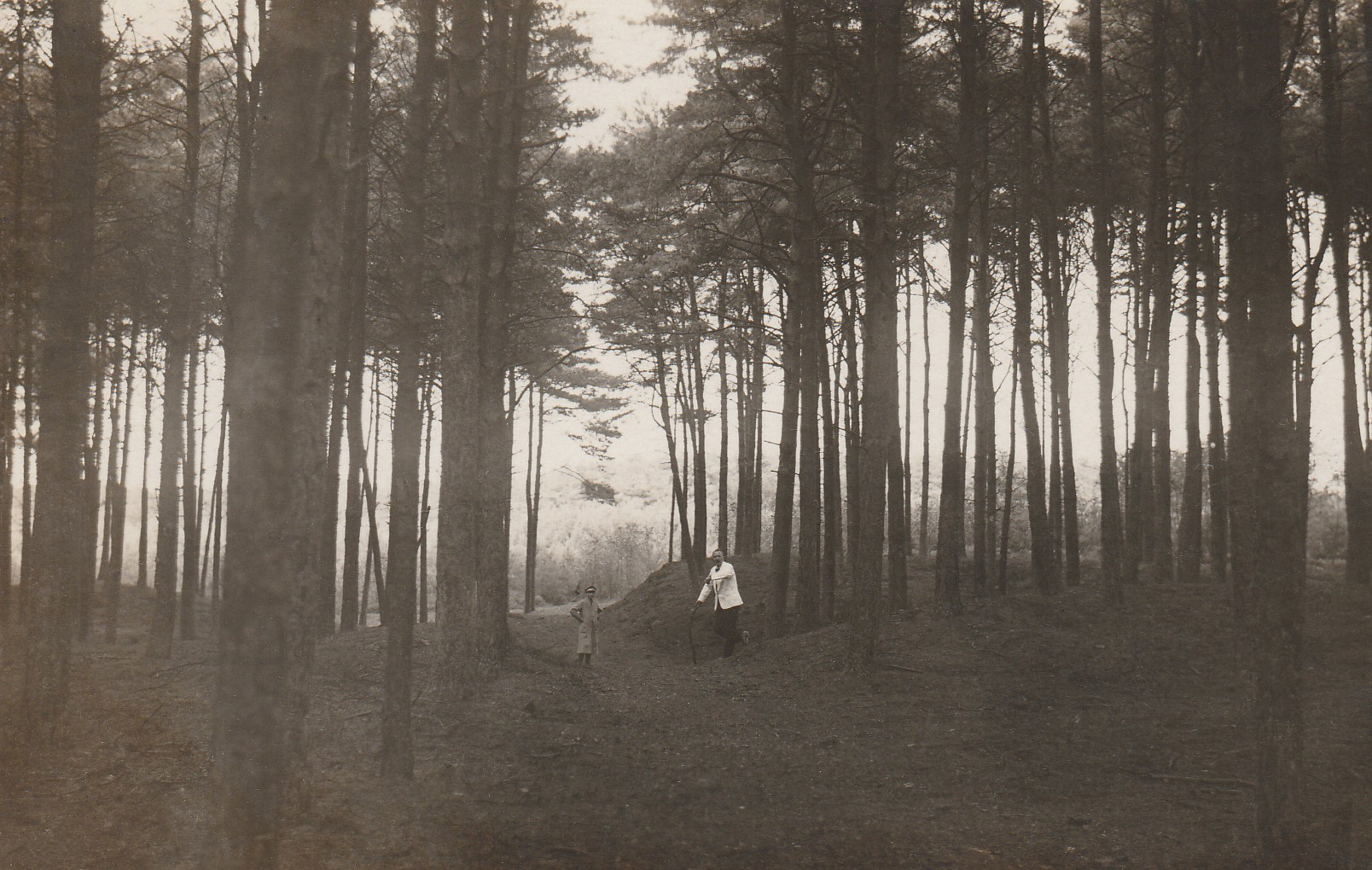 theehuis in de Dennen